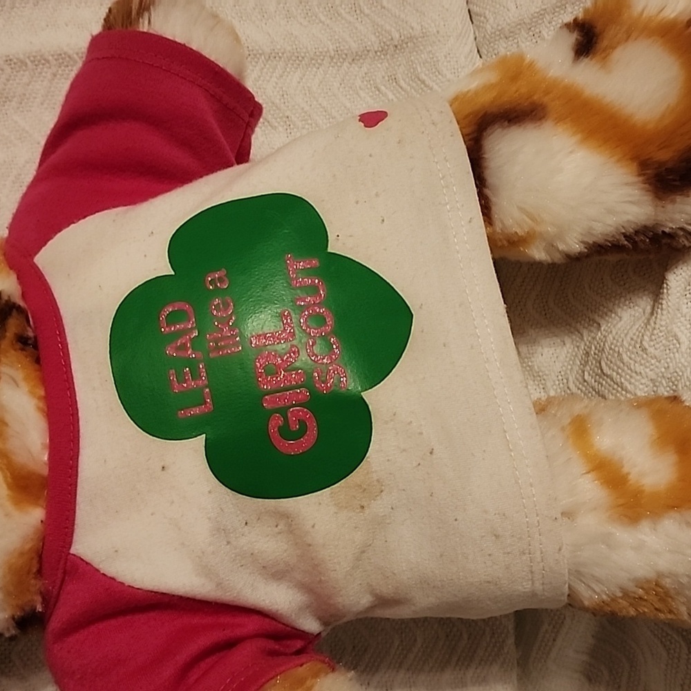 Build a bear Girl Scouts Bear - Picture 4 of 7